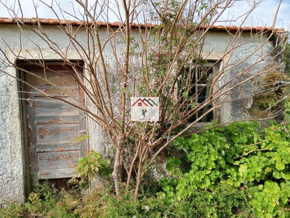 Moradia T1 para Venda em Arazede Foto 13