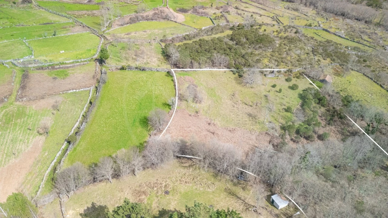 Terreno Agricola ou Rústico para Venda em Vreia de Jales Foto 3