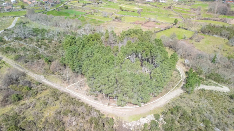 Terreno Agricola ou Rústico para Venda em Vreia de Jales Foto 2