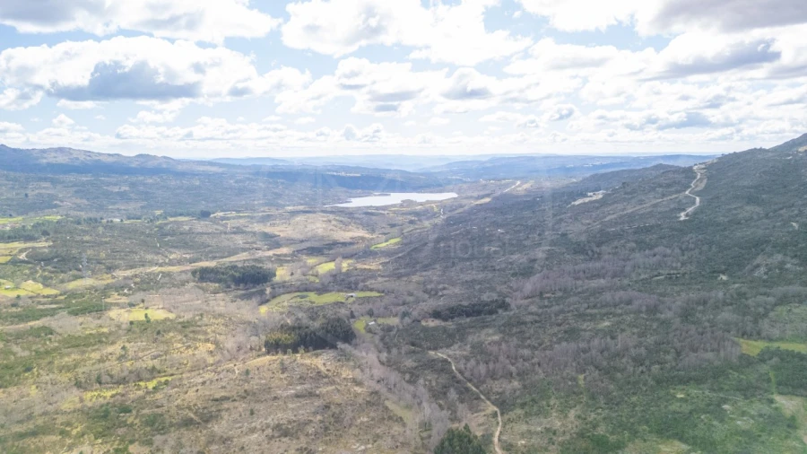Terreno Agricola ou Rústico para Venda em Vreia de Jales Foto 4