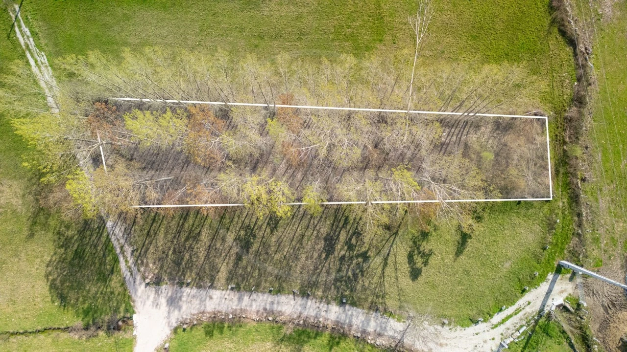 Terreno Agricola ou Rústico para Venda em Telões Foto 3