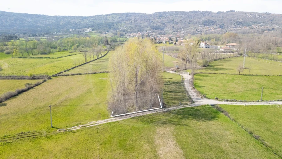 Terreno Agricola ou Rústico para Venda em Telões Foto 2