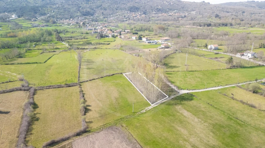 Terreno Agricola ou Rústico para Venda em Telões Foto 4