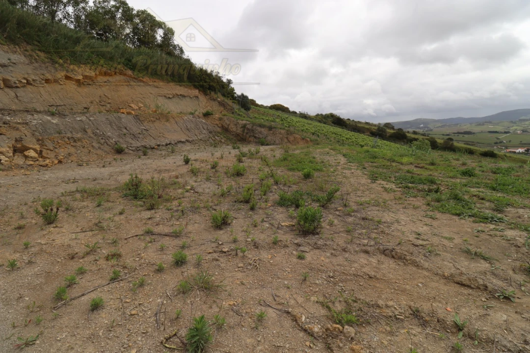 Terreno para Venda em Ventosa Foto 6