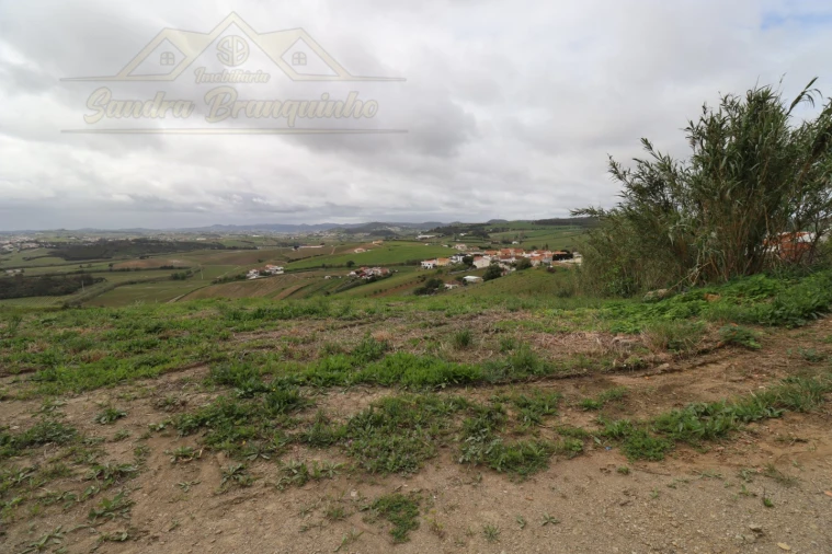 Terreno para Venda em Ventosa Foto 7