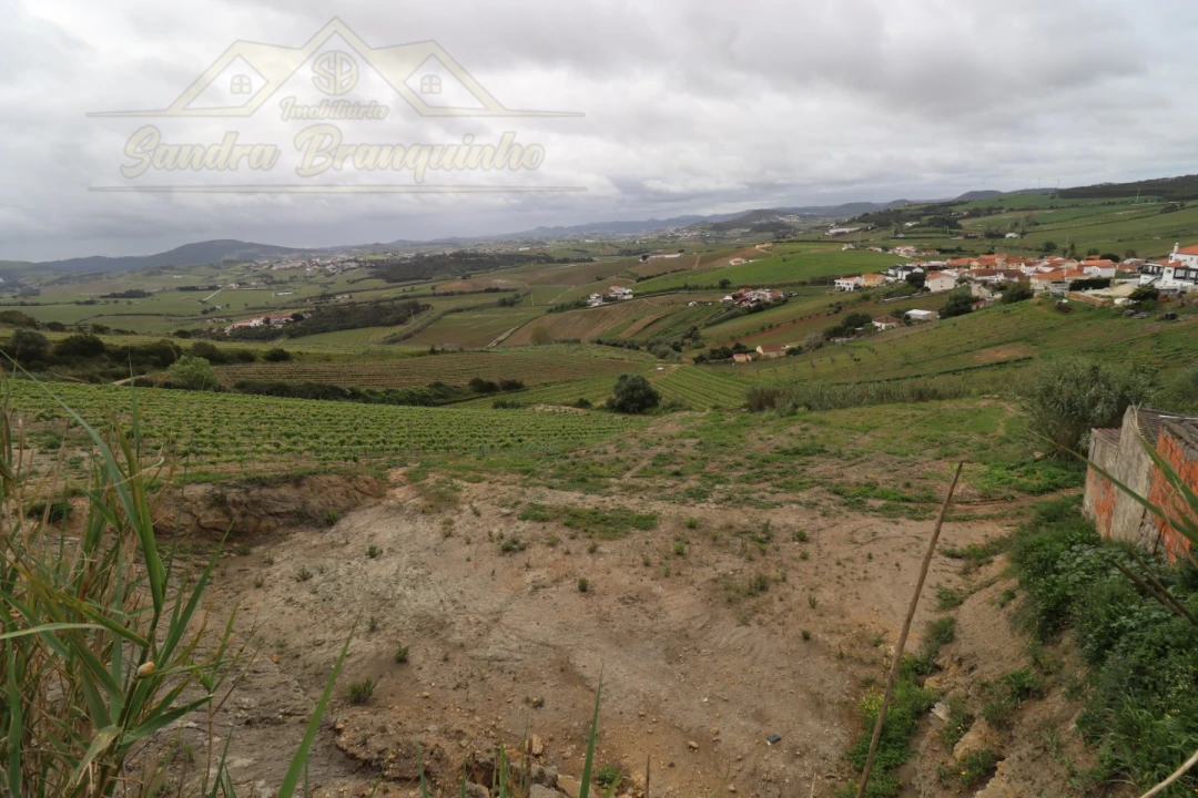 Terreno para Venda em Ventosa Foto 4