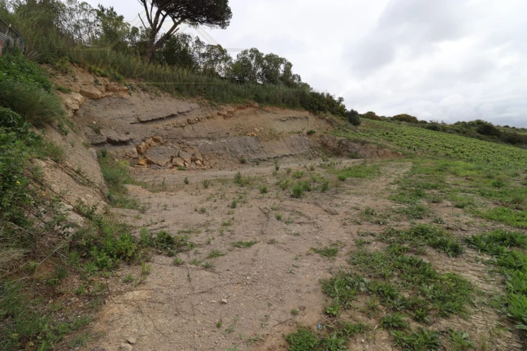 Terreno para Venda em Ventosa Foto 6