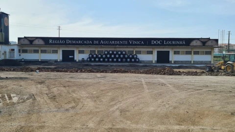 Terreno para Venda em Lourinhã e Atalaia