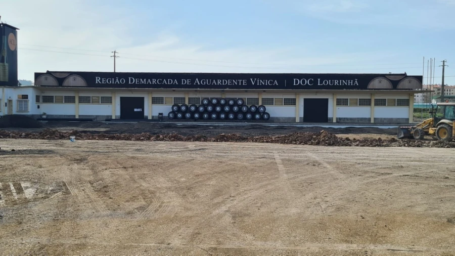 Terreno para Venda em Lourinhã e Atalaia Foto 7