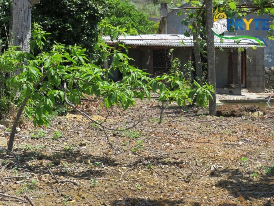 Quinta T2 para Venda em Ermida e Figueiredo Foto 30