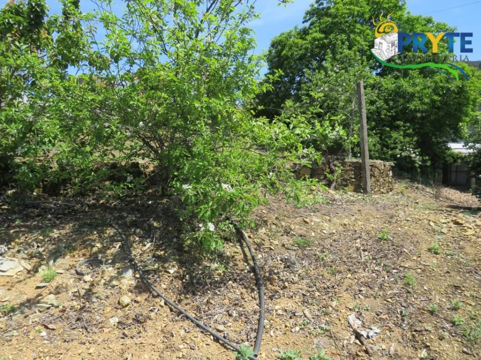 Quinta T2 para Venda em Ermida e Figueiredo Foto 31