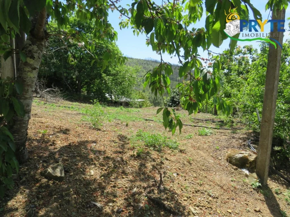 Quinta T2 para Venda em Ermida e Figueiredo Foto 34