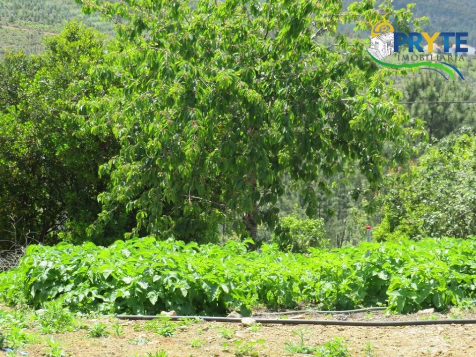 Quinta T2 para Venda em Ermida e Figueiredo Foto 35
