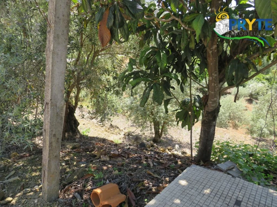 Quinta T2 para Venda em Ermida e Figueiredo Foto 38