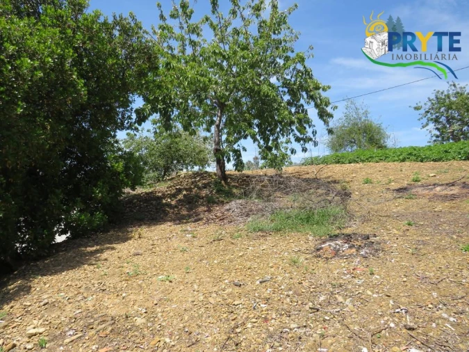 Quinta T2 para Venda em Ermida e Figueiredo Foto 27