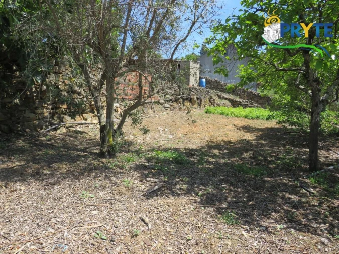 Quinta T2 para Venda em Ermida e Figueiredo Foto 28