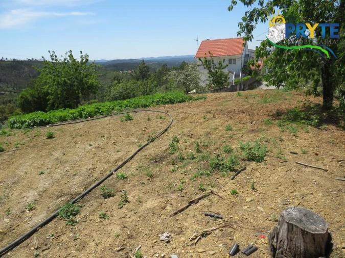 Quinta T2 para Venda em Ermida e Figueiredo Foto 32