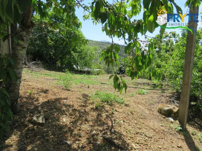 Quinta T2 para Venda em Ermida e Figueiredo Foto 34