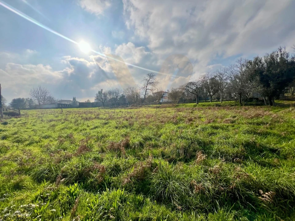 Terreno para Venda em São Pedro de Arcos Foto 2