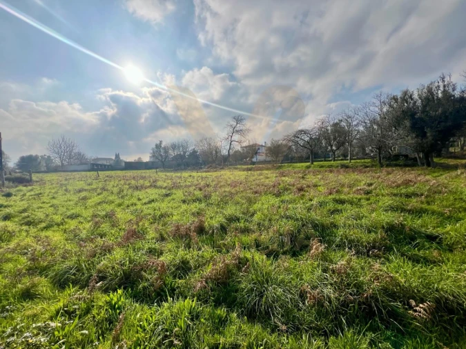 Terreno para Venda em São Pedro de Arcos Foto 2