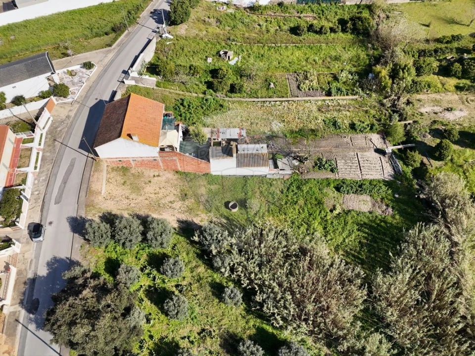 Terreno para Venda em Alpiarça Foto 3