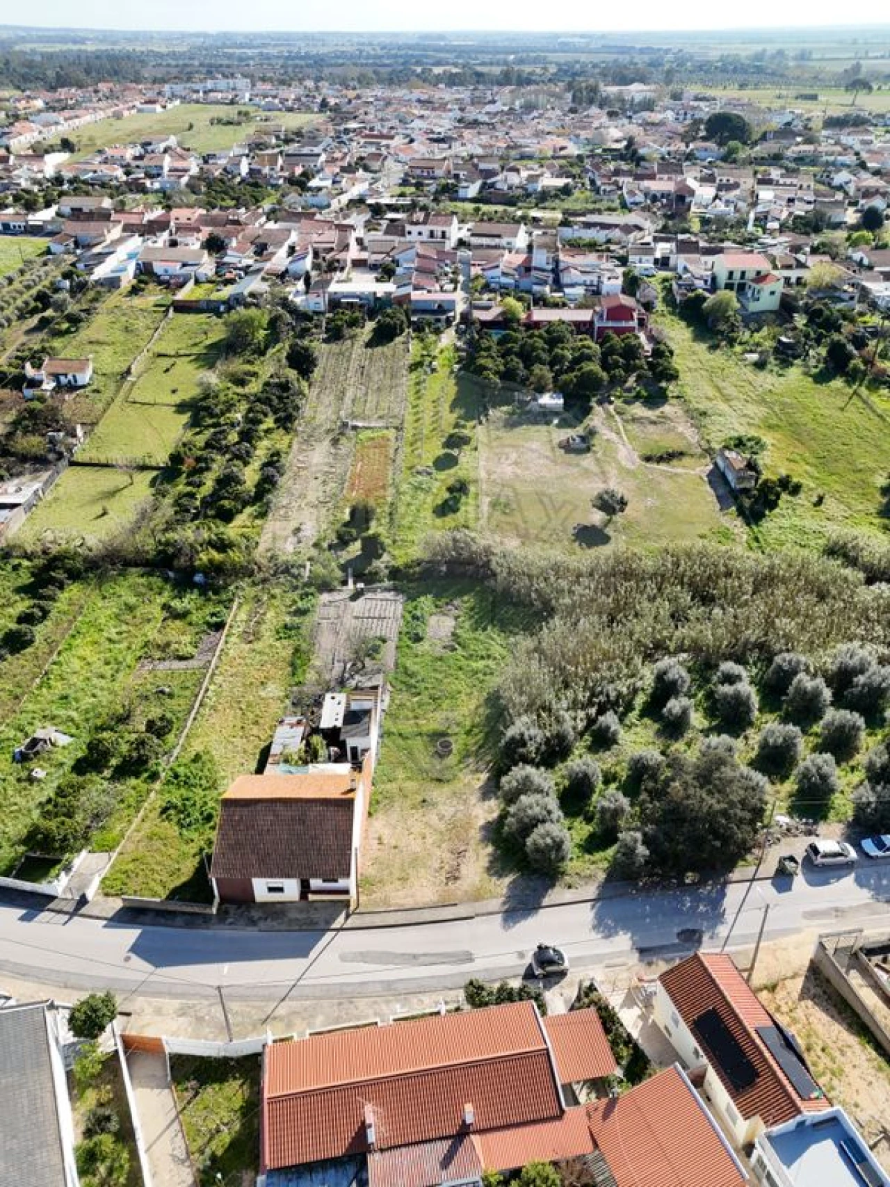 Terreno para Venda em Alpiarça Foto 5
