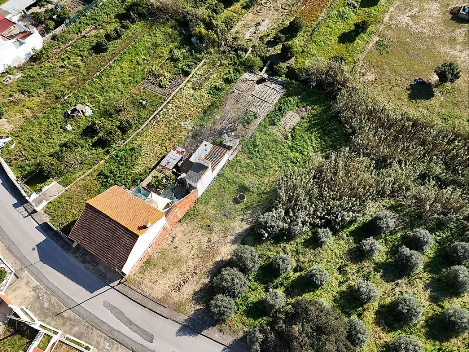 Terreno para Venda em Alpiarça Foto 6