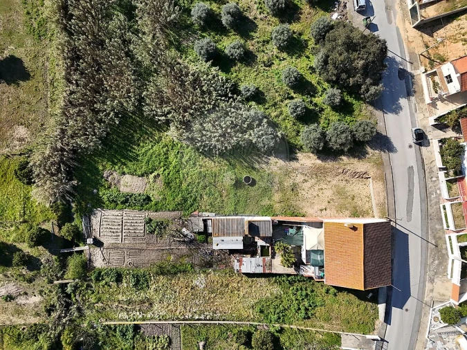 Terreno para Venda em Alpiarça Foto 2