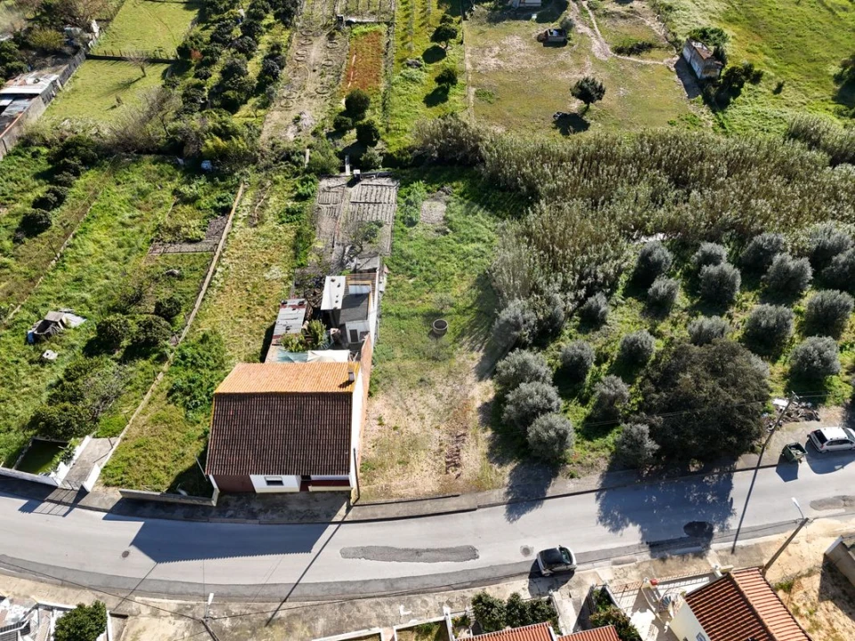 Terreno para Venda em Alpiarça Foto 4