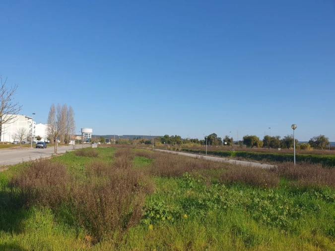 Terreno para Venda em São João Baptista Foto 7