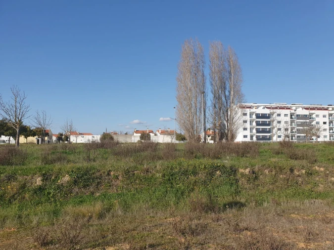 Terreno para Venda em São João Baptista Foto 8