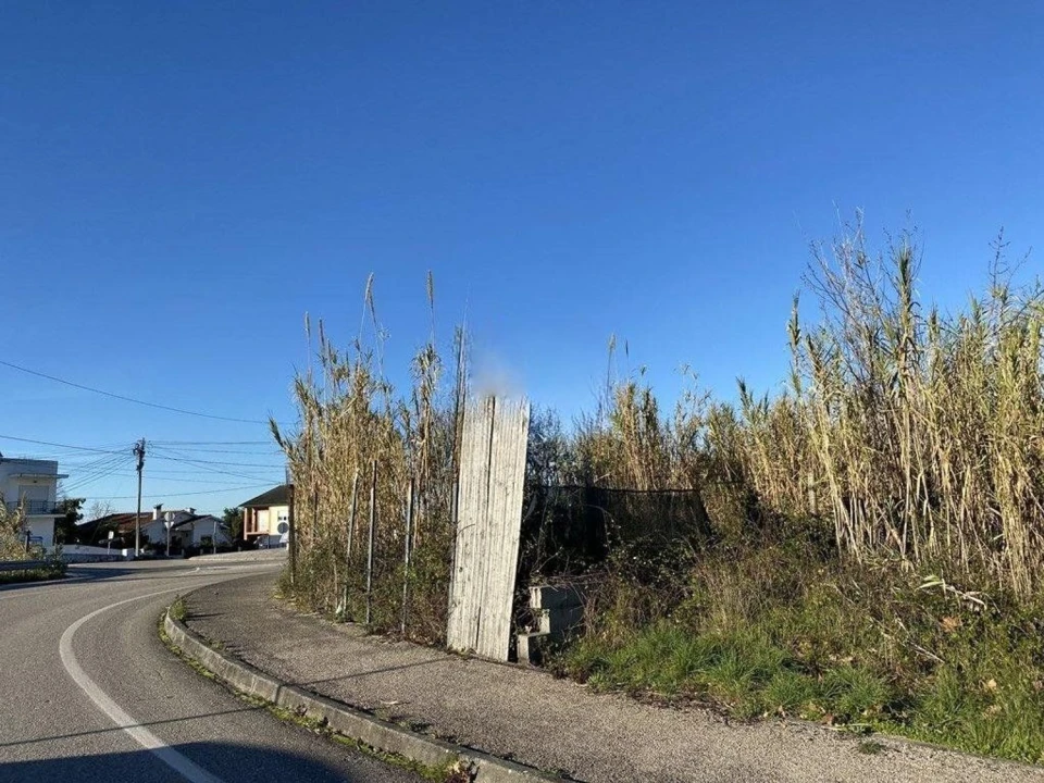 Terreno Agricola ou Rústico para Venda em Cernache Foto 3
