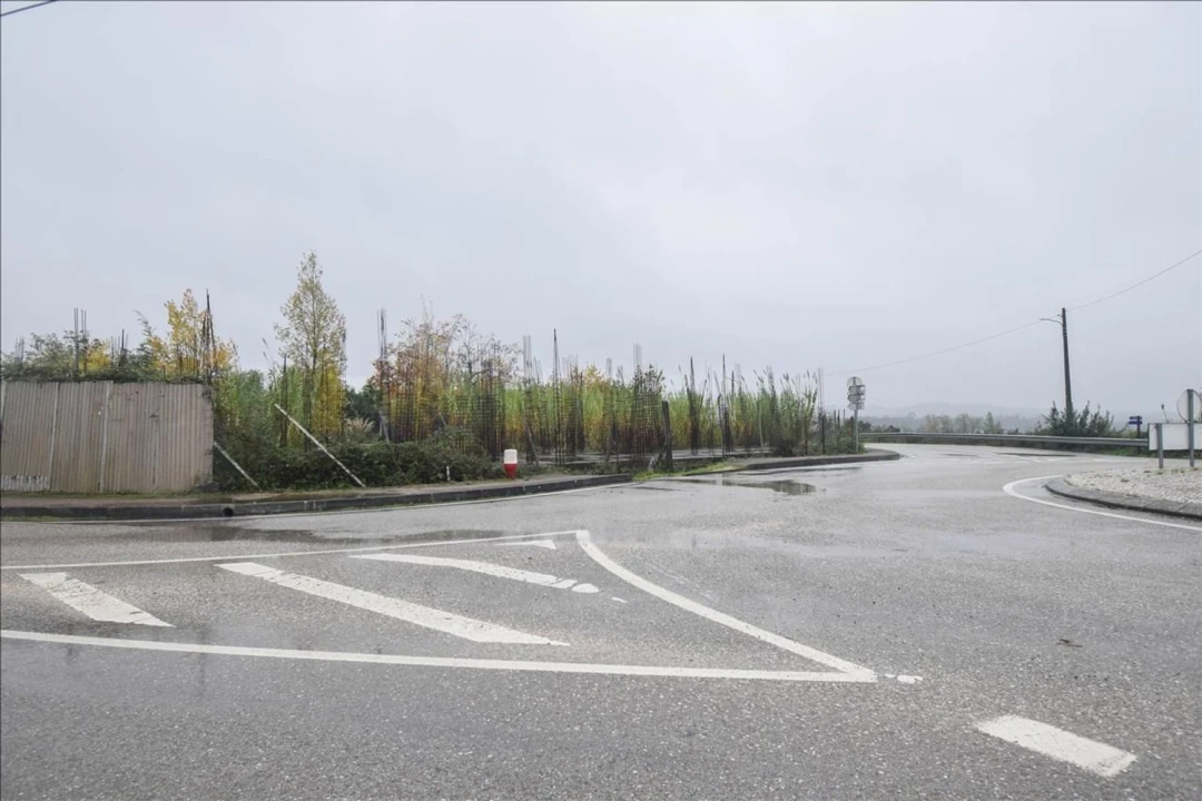 Terreno Agricola ou Rústico para Venda em Cernache Foto 9