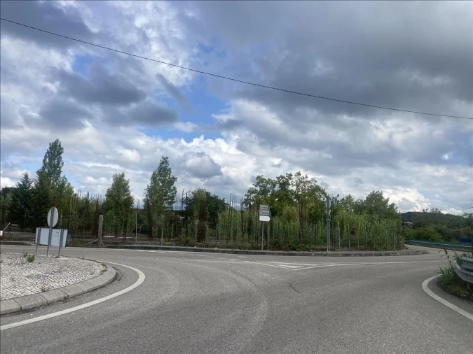 Terreno Agricola ou Rústico para Venda em Cernache Foto 5