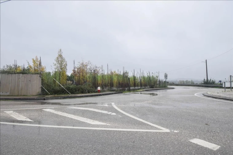 Terreno Agricola ou Rústico para Venda em Cernache Foto 9