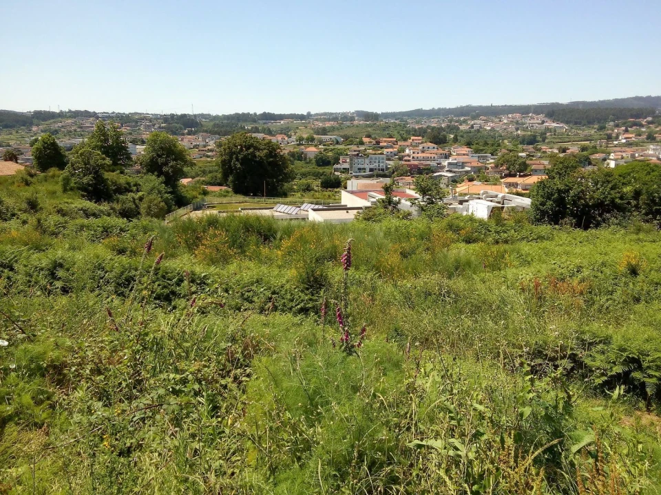 Terreno Agricola ou Rústico para Venda em Paços de Ferreira Foto 4