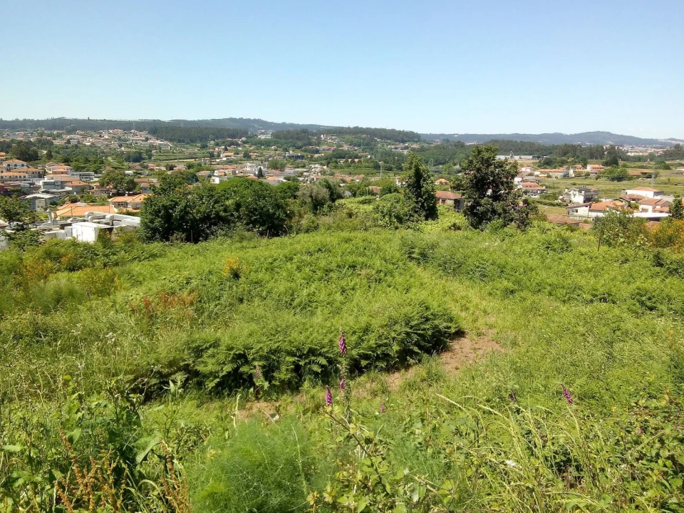 Terreno Agricola ou Rústico para Venda em Paços de Ferreira Foto 5