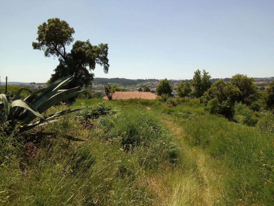 Terreno Agricola ou Rústico para Venda em Paços de Ferreira Foto 7