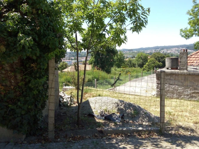 Terreno Agricola ou Rústico para Venda em Paços de Ferreira Foto 10