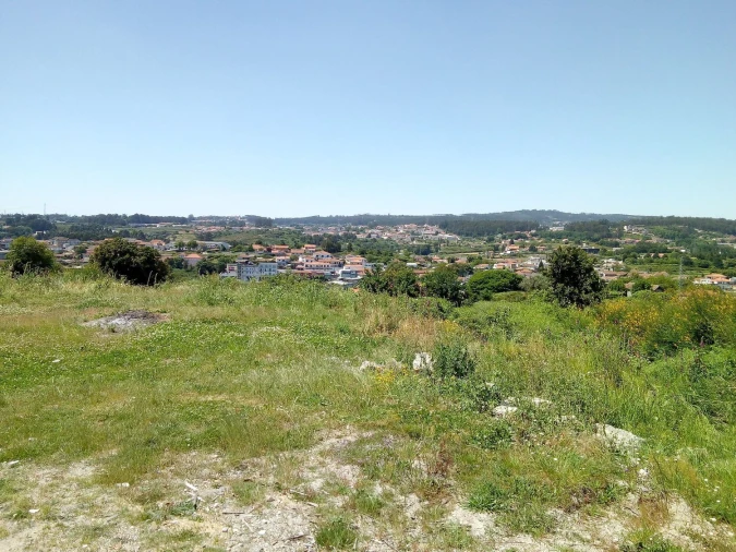 Terreno Agricola ou Rústico para Venda em Paços de Ferreira Foto 2