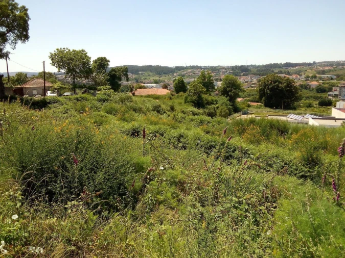 Terreno Agricola ou Rústico para Venda em Paços de Ferreira Foto 3