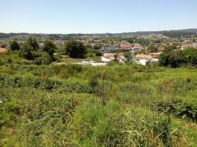 Terreno Agricola ou Rústico para Venda em Paços de Ferreira Foto 4