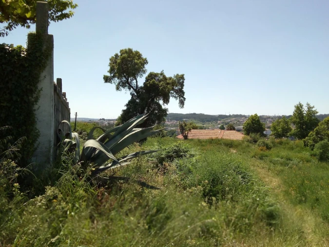 Terreno Agricola ou Rústico para Venda em Paços de Ferreira Foto 6