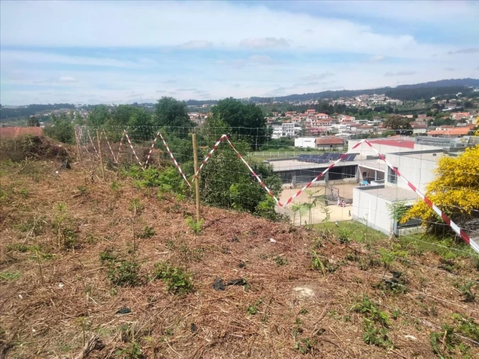 Terreno Agricola ou Rústico para Venda em Paços de Ferreira Foto 8