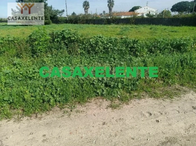 Terreno para Venda em Samora Correia Foto 5