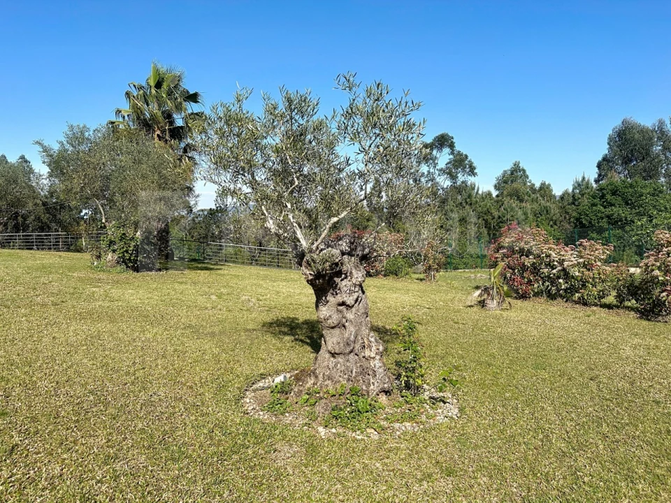 Moradia T5 para Venda em Reboreda e Nogueira Foto 75