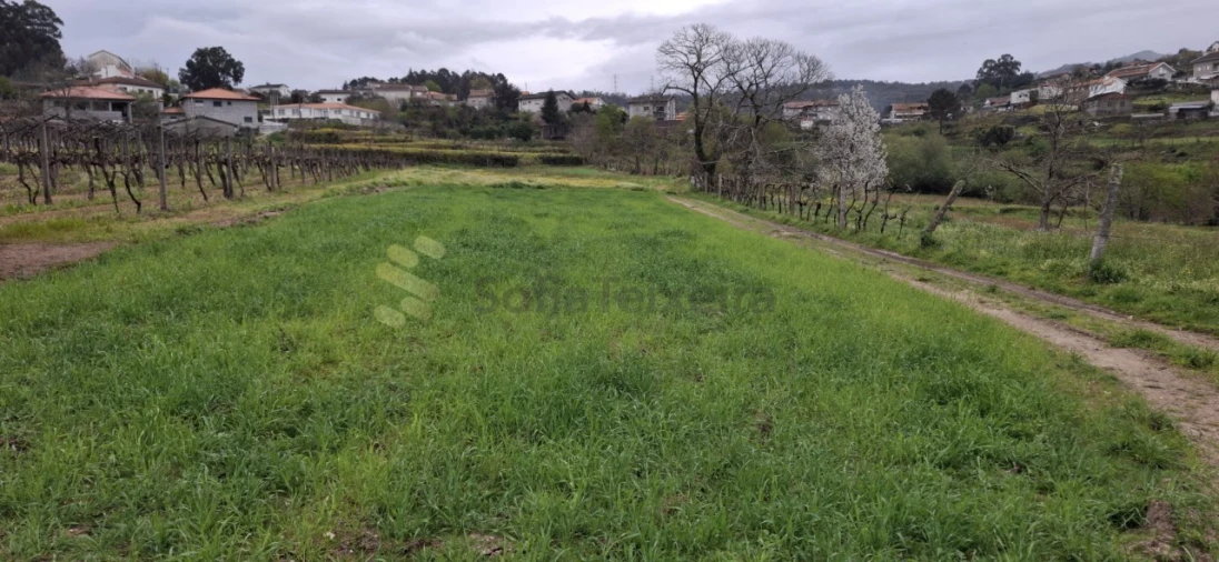Terreno para Venda em Avessadas e Rosém Foto 6