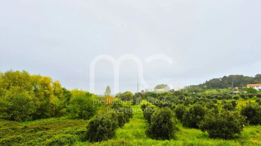 Moradia T4 para Venda em Nossa Senhora das Misericordias Foto 10