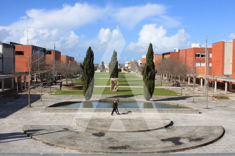 Prédio para Venda em Glória e Vera Cruz Foto 12