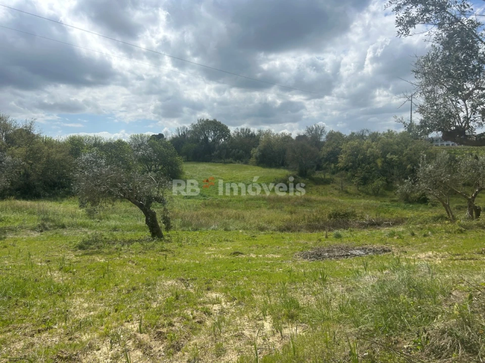 Terreno Agricola ou Rústico para Venda em Paialvo Foto 4